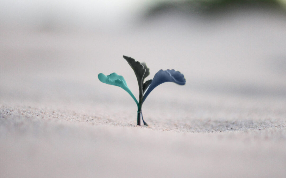 far crescere i talenti con la formazione