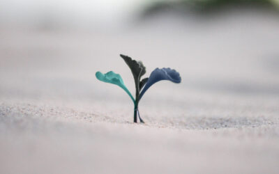 Attrarre, trattenere e far crescere i talenti con la formazione